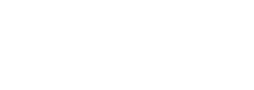 Netvalue Systems